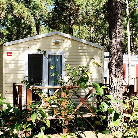 Orbitur Sitava Milfontes Bungalows - Caravan Park โอเดมิรา ภายนอก รูปภาพ